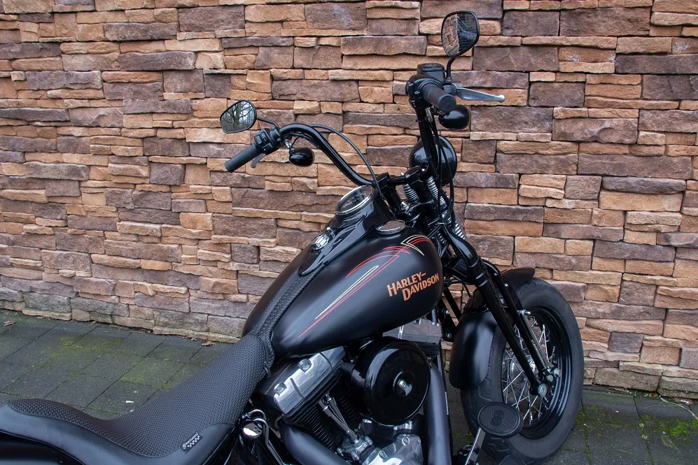 2009 Harley-Davidson FLSTSB Cross Bones Softail