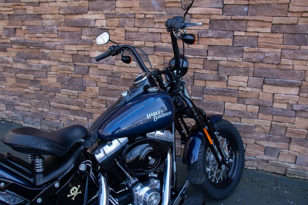 2009 Harley-Davidson FLSTSB Cross Bones Softail *VERKOCHT*