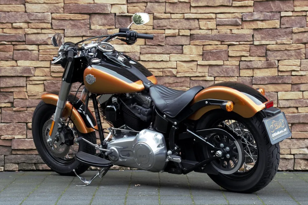 2015 Harley-Davidson FLS Softail Slim 103 *VERKOCHT*