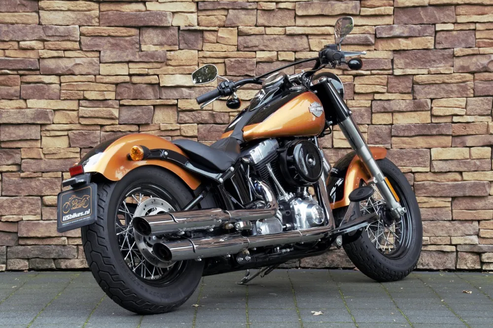2015 Harley-Davidson FLS Softail Slim 103 *VERKOCHT*