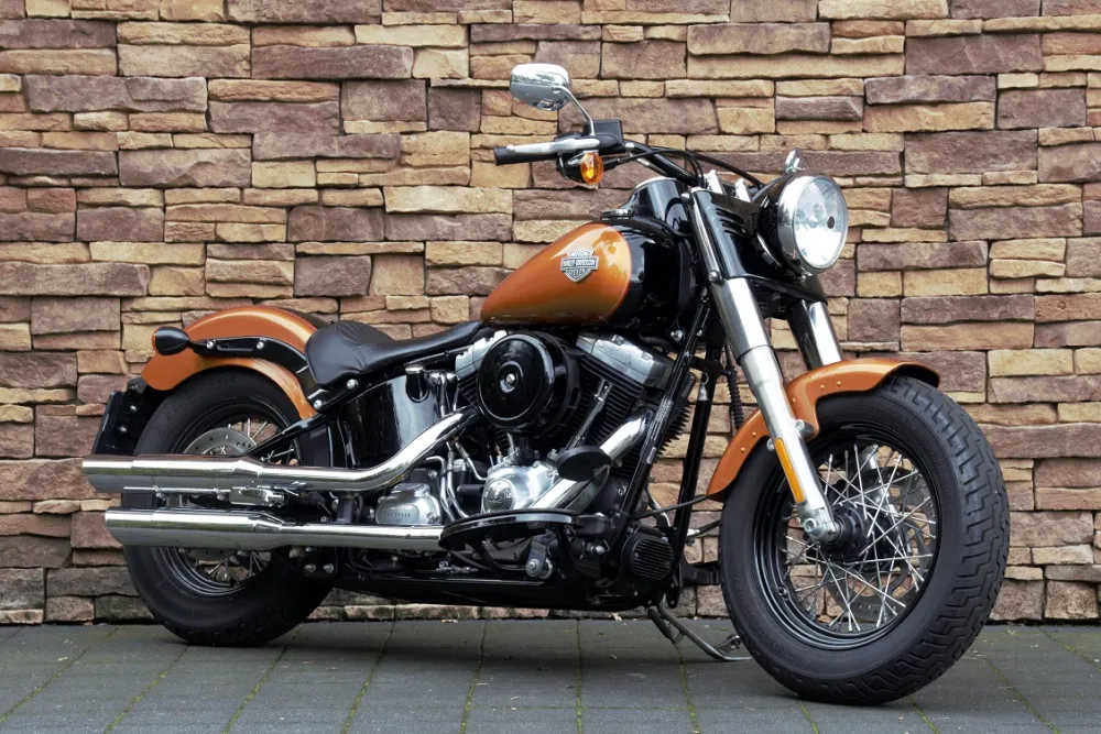 2015 Harley-Davidson FLS Softail Slim 103 *VERKOCHT*