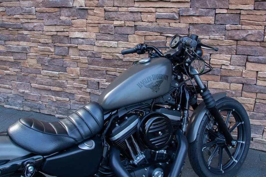 2018 Harley-Davidson XL 883 N Sportster Iron ABS *VERKOCHT*