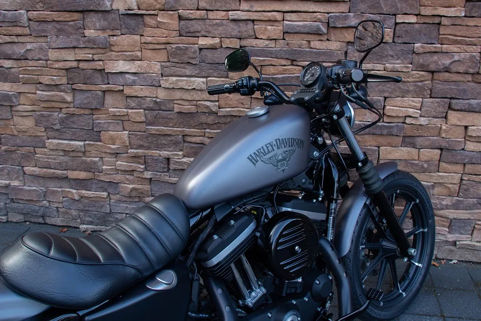 2019 Harley-Davidson XL883N Sportster Iron 883 ABS *VERKOCHT*