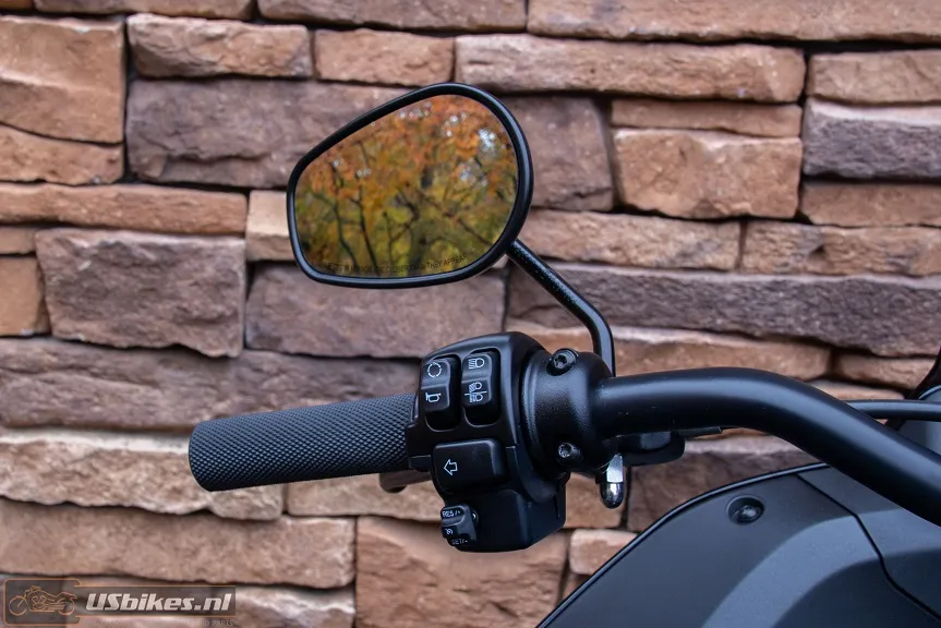 2024 Harley-Davidson FXLRST Softail Low Rider ST 117