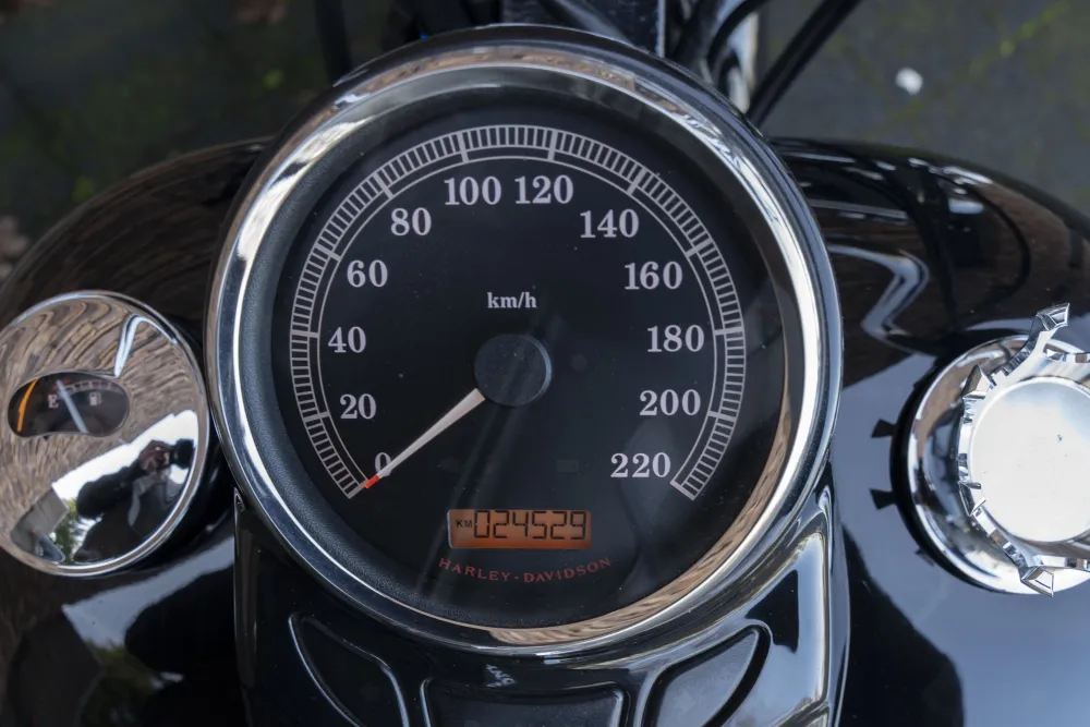 Harley-Davidson FLS Softail Slim 103 Mexican Style