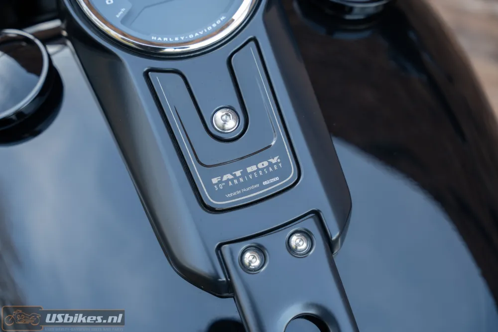 2020 Harley-Davidson FLFBS ANV Fat Boy 30th Anniversary 117