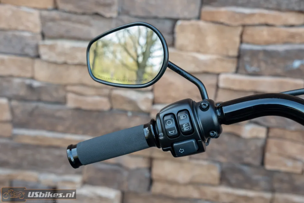 2020 Harley-Davidson FLFBS ANV Fat Boy 30th Anniversary 117