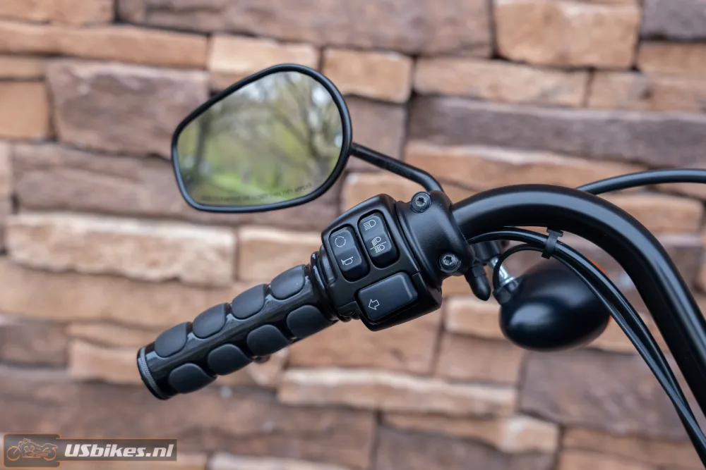 2019 Harley-Davidson XL1200NS Iron Sportster 1200