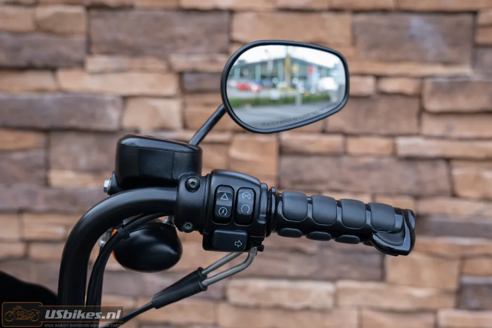 2019 Harley-Davidson XL1200NS Iron Sportster 1200