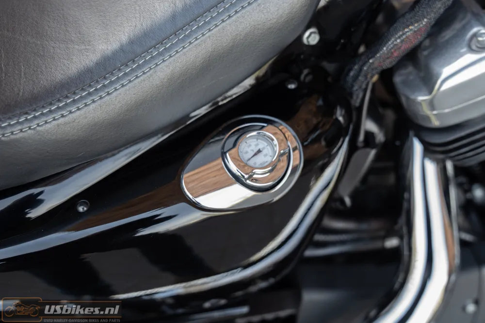 2016 Harley-Davidson XL1200X Iron 1200 Sportster