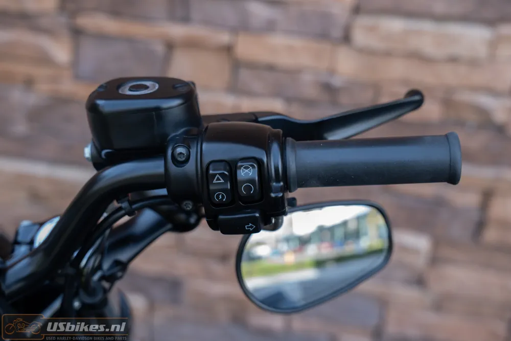 2016 Harley-Davidson XL1200X Iron 1200 Sportster