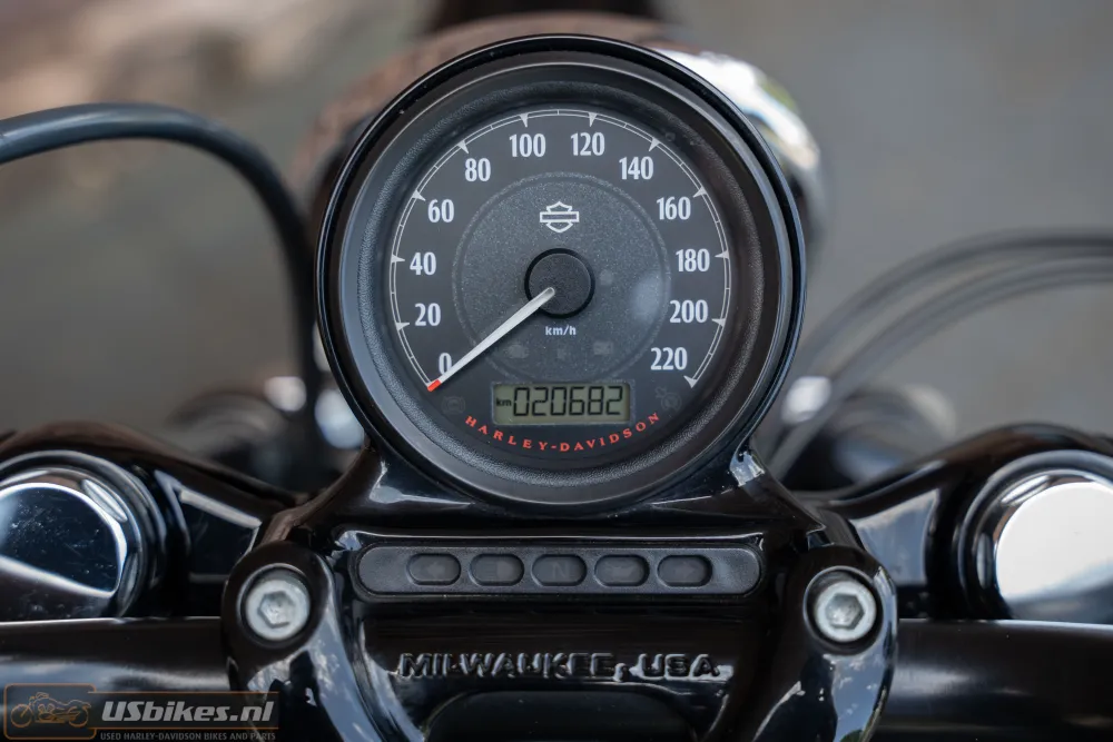 2015 Harley-Davidson XL1200X Forty Eight Sportster 1200 ABS