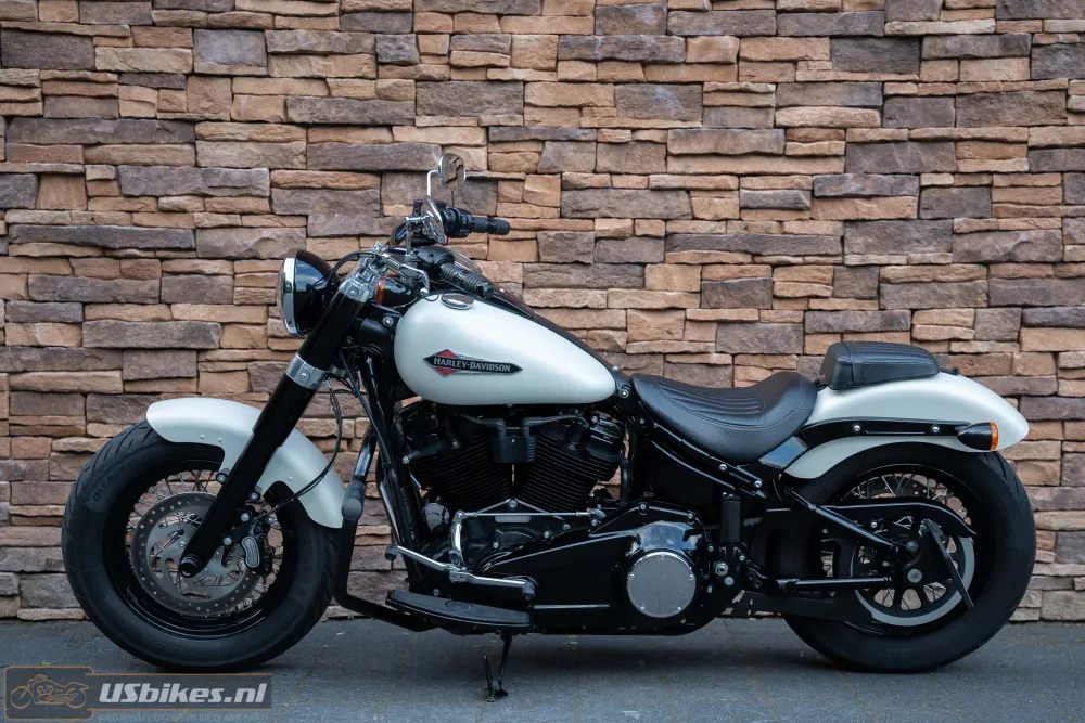 2019 Harley-Davidson FLSL Softail Slim 107 M8