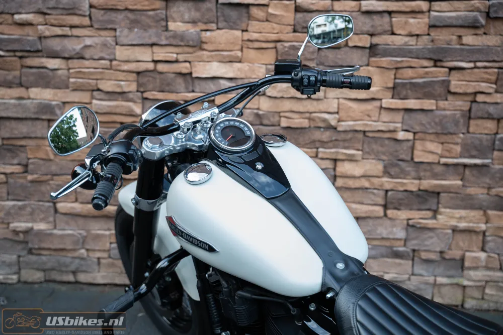 2019 Harley-Davidson FLSL Softail Slim 107 M8
