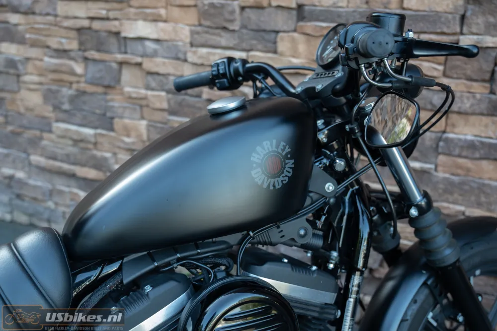 2019 Harley-Davidson XL 883 N Sportster Iron ABS
