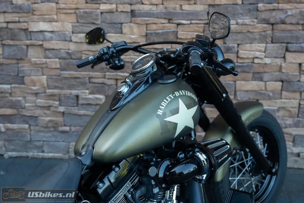 2017 Harley-Davidson FLSS Softail Slim S 110 Screamin Eagle
