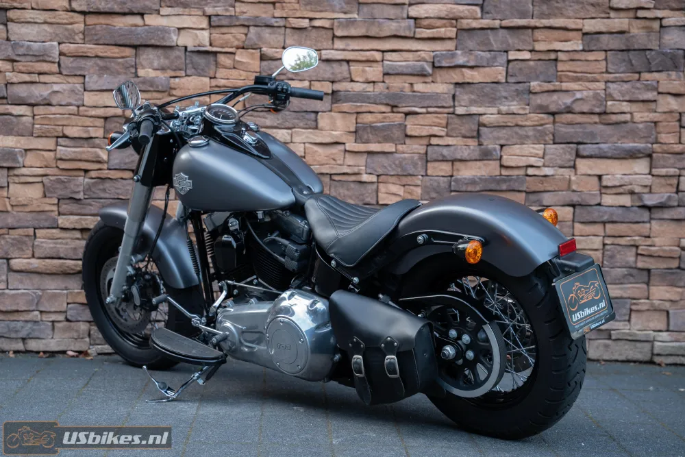 2015 Harley-Davidson FLS Softail Slim 103