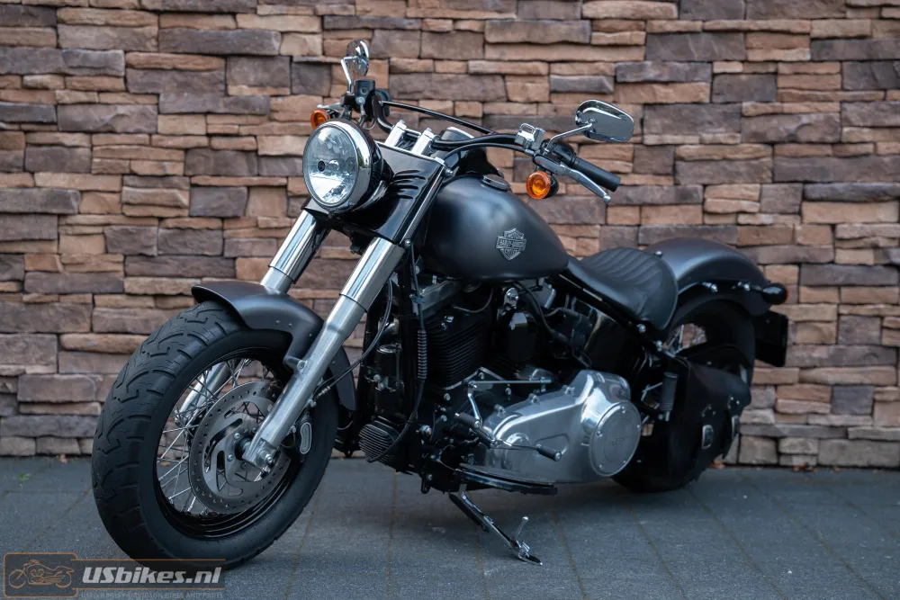 2015 Harley-Davidson FLS Softail Slim 103