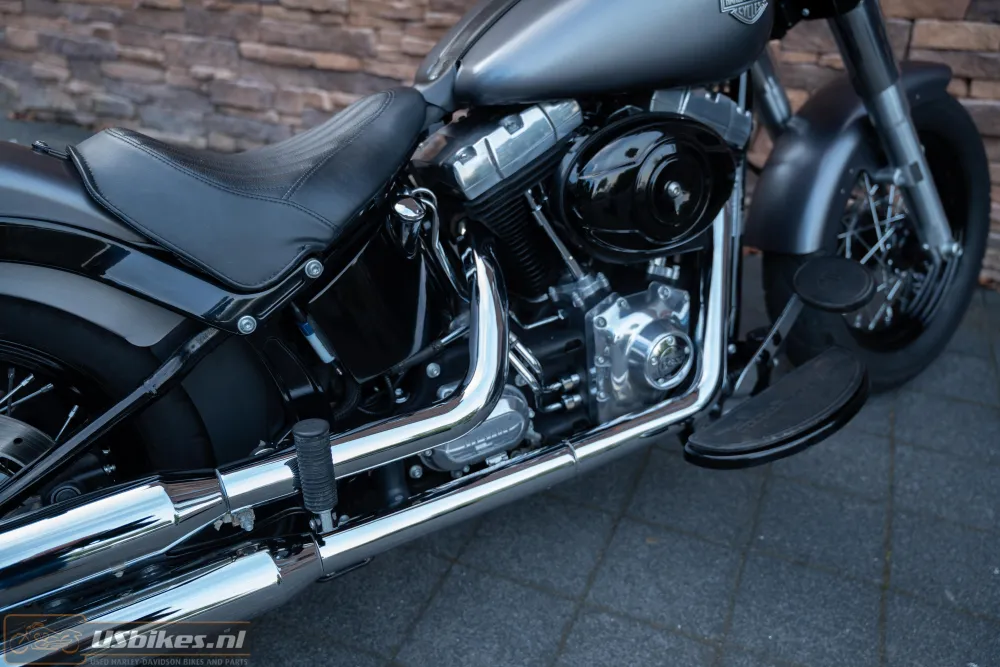 2015 Harley-Davidson FLS Softail Slim 103