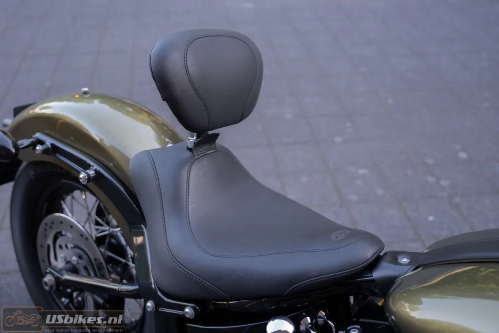 2017 Harley-Davidson FLS Softail Slim 103 ABS
