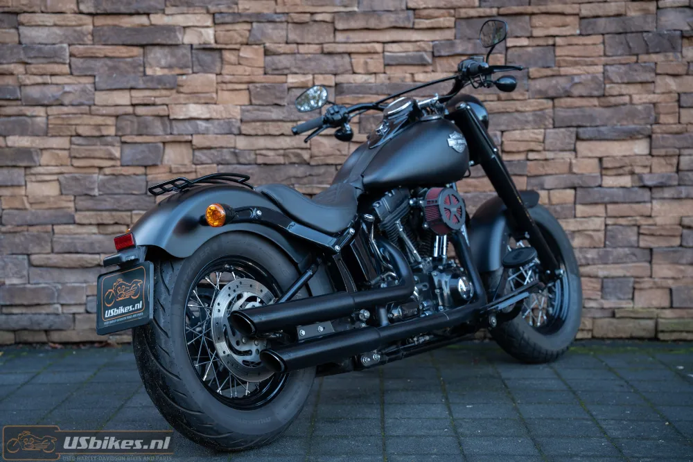 2015 Harley-Davidson FLS Softail Slim 103 Blacked-out