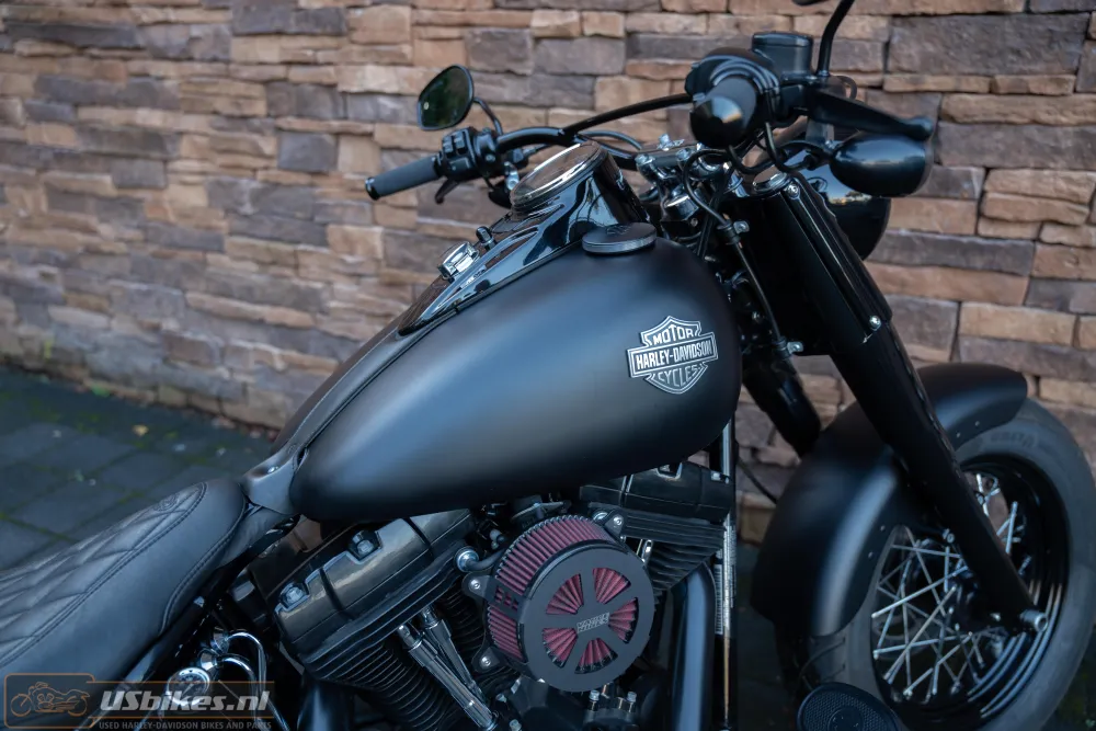 2015 Harley-Davidson FLS Softail Slim 103 Blacked-out