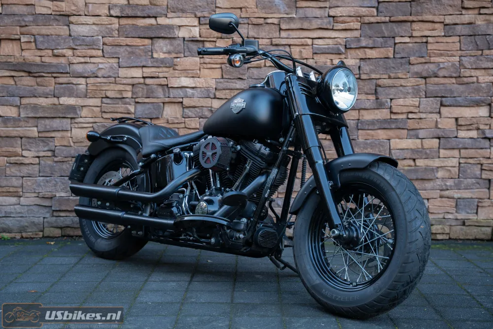 2015 Harley-Davidson FLS Softail Slim 103 Blacked-out