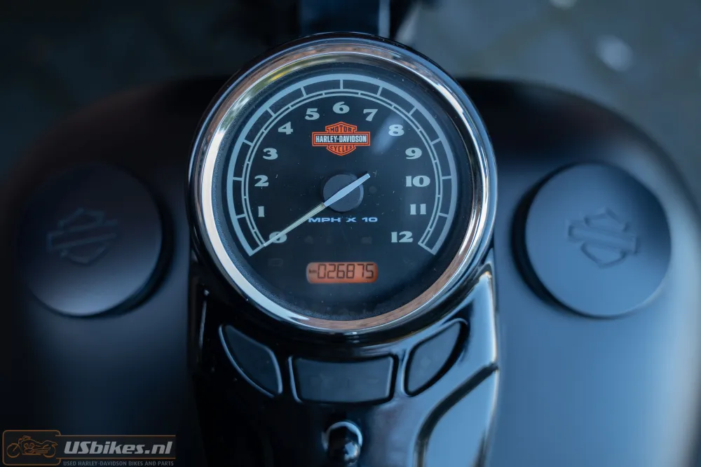 2015 Harley-Davidson FLS Softail Slim 103 Blacked-out