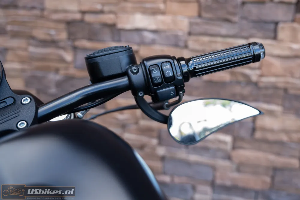 2017 Harley-Davidson XL 883 N Sportster Iron ABS