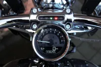 2015 Harley-Davidson FLSTNSE CVO 110 Softail Deluxe *VERKOCHT*