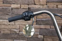 Harley-Davidson FLS Softail Slim 103 Mexican Style