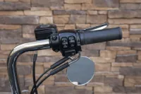 Harley-Davidson FLS Softail Slim 103 Mexican Style