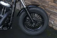 2020 Harley-Davidson XL1200X Forty Eight Sportster 1200 