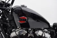 Benzinetank Harley-Davidson 48 Forty Eight vivid black XL1200X