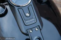 2020 Harley-Davidson FLFBS ANV Fat Boy 30th Anniversary 117