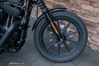 2019 Harley-Davidson XL1200NS Iron Sportster 1200