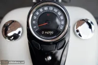 2019 Harley-Davidson FLSL Softail Slim 107 M8