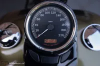2017 Harley-Davidson FLS Softail Slim 103 ABS