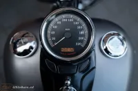 2015 Harley-Davidson FLS Softail Slim 103
