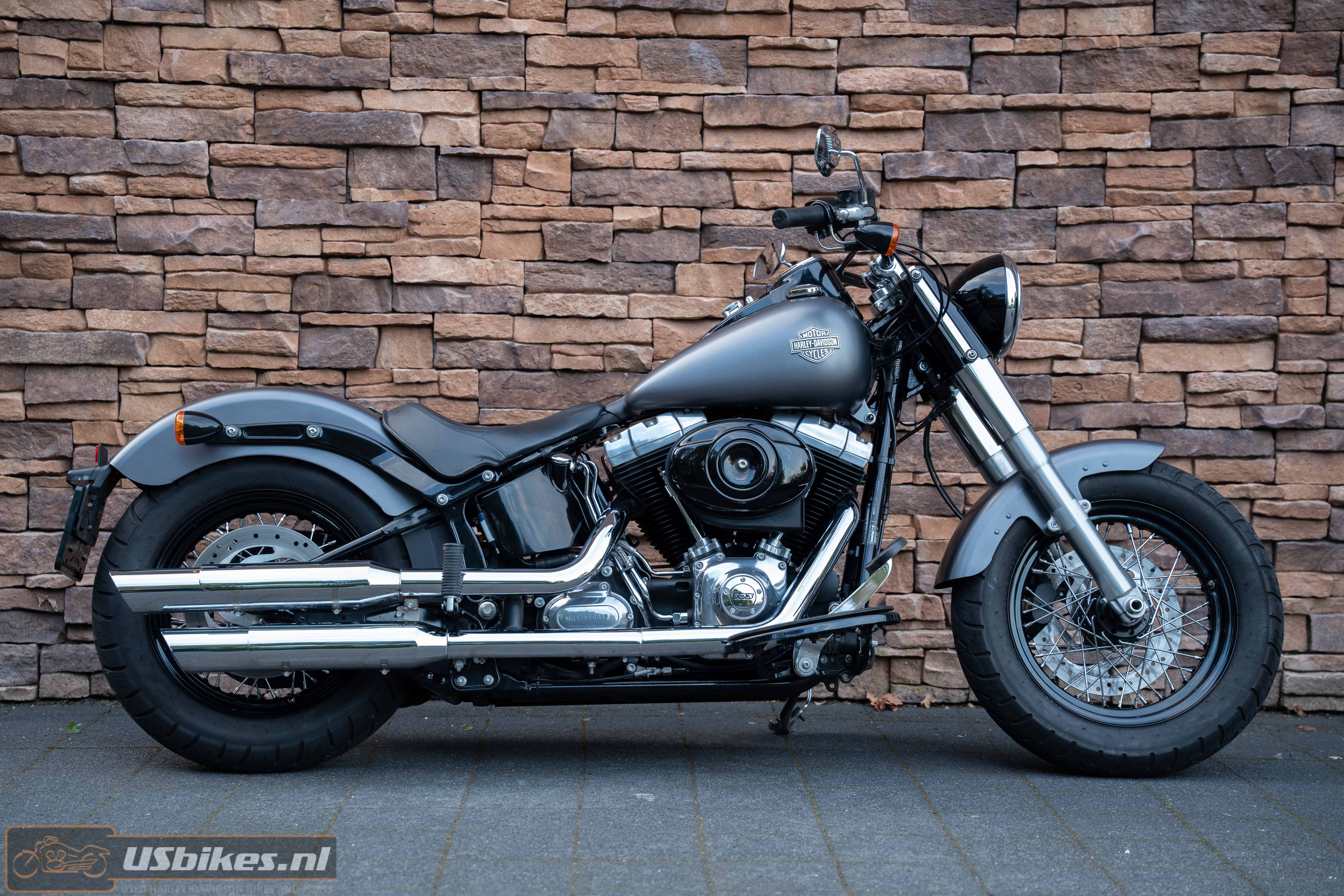 2015 Harley-Davidson FLS Softail Slim 103