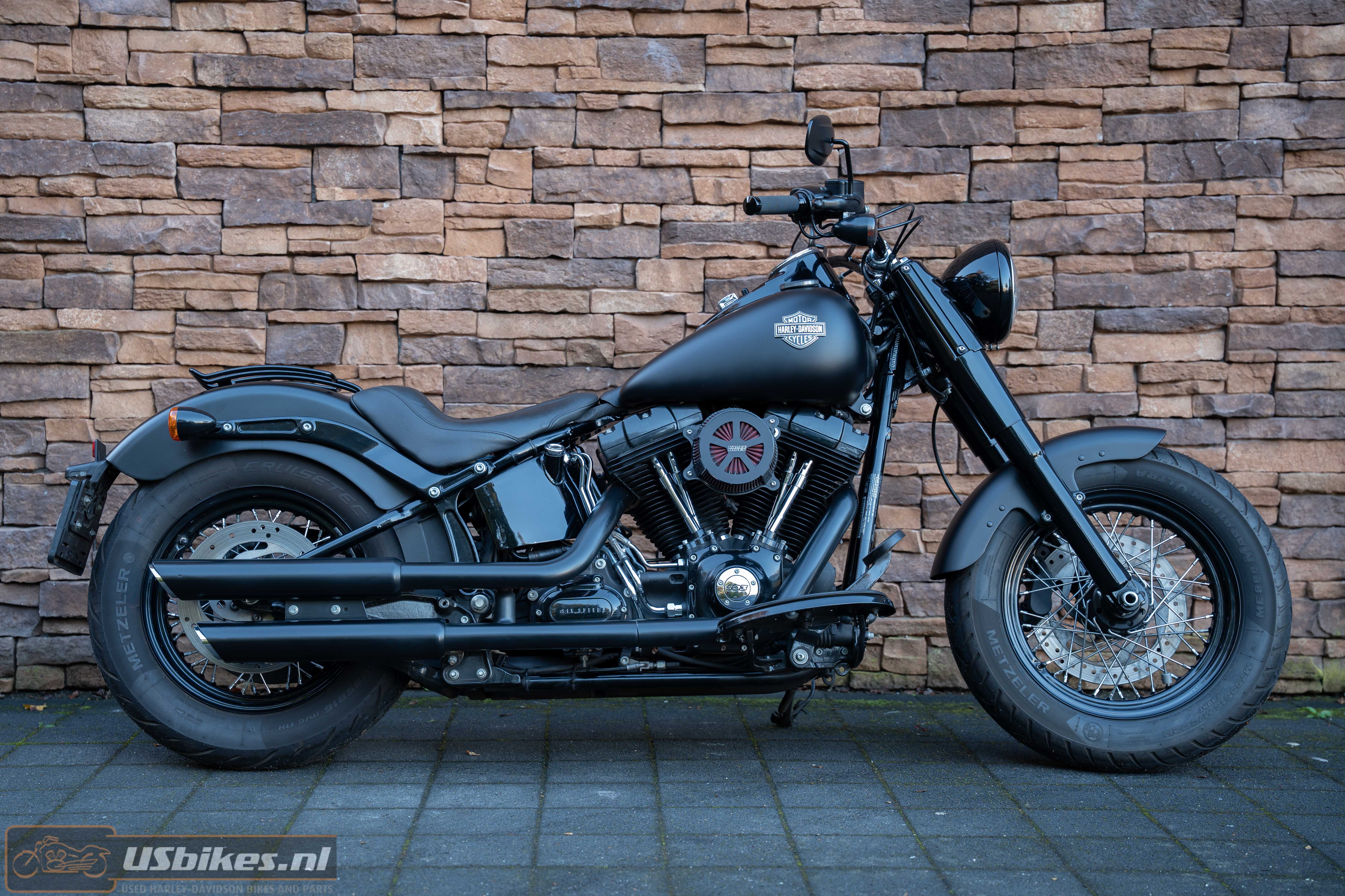 2015 Harley-Davidson FLS Softail Slim 103 Blacked-out