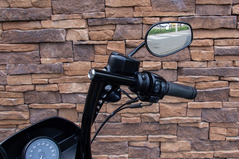 2019 Harley-Davidson XL1200NS Iron 1200 Sportster RHB